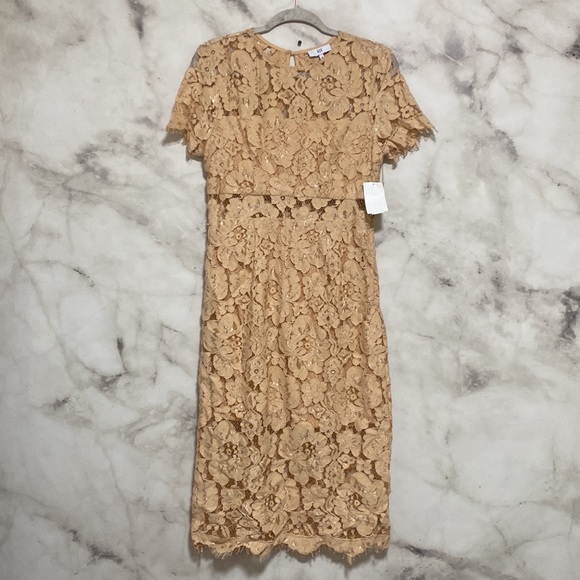 NSR Beige Lace Midi Dress - Picture 3 of 13